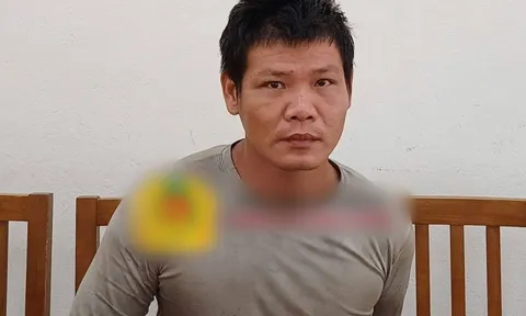 Bắt giữ Trần Như Ánh sinh năm 1993