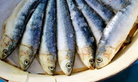 Loại cá dễ gây ung thư bậc nhất, nhiều người không biết vẫn ăn hàng ngày