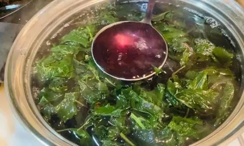 Chợ Việt có loại lá thơm vài nghìn cả bó nhưng là "vua" thải độc gan, dưỡng phổi, "quét sạch" mỡ máu xấu