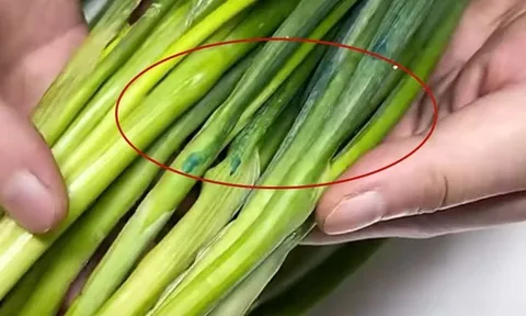 5 loại rau quả "ngậm thuốc" nhiều nhất chợ, tiểu thương lâu năm nói thẳng không bao giờ cho gia đình ăn