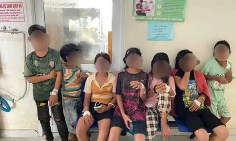 Bắt con vật quen thuộc trong vườn nhà ăn, 9 học sinh phải nhập viện gấp