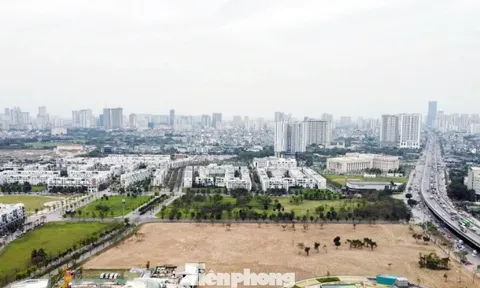 Vì sao chuyển đổi đất vườn sang đất ở phải đóng thuế tiền tỷ?