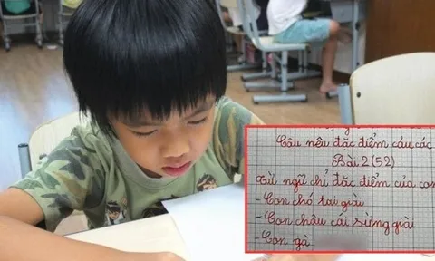 Học sinh tiểu học tả con gà, sáng tạo ra 1 từ khiến nhiều người tra từ điển muốn ngất vẫn không ra đáp án