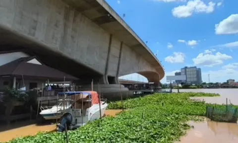 Người đàn ông đâm xe máy vào cầu, tử vong khi rơi xuống sông