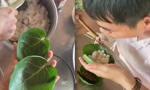 "Ước mơ" không phải rửa bát sau khi ăn, cô gái liền trồng ngay một loại cây, dân mạng xem xong chỉ biết trầm trồ
