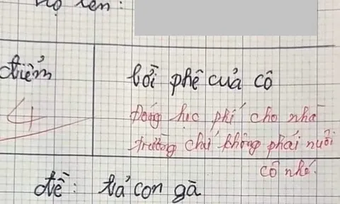 Học sinh lớp 3 viết văn tả gà, cô cho 4 điểm kèm lời phê: Lý do đằng sau khiến khán giả sửng sốt