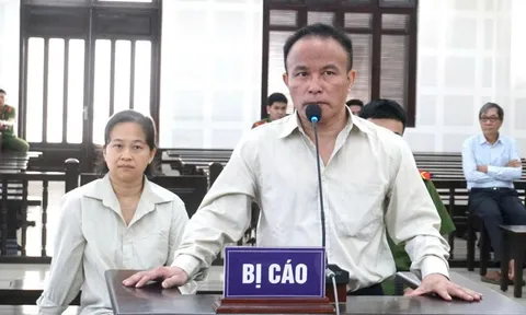 Được lãnh đạo nhờ đứng tên, cựu cán bộ Văn phòng UBND Đà Nẵng chiếm đoạt 5 lô đất