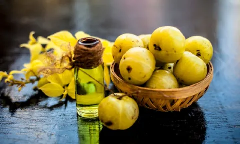 Loại quả dại xưa rụng đầy gốc, nhặt về chế biến kiểu này "hái ra tiền" nửa triệu/kg