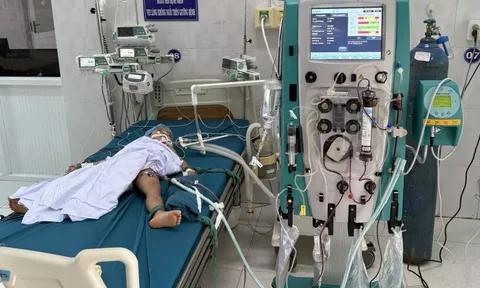 Ba em nhỏ bị ong tấn công, một bé tử vong thương tâm