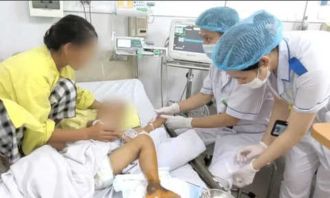 Bé trai 4 tuổi nhập viện trong tình trạng bệnh nặng do bị mèo cắn, bác sĩ nhấn mạnh tuyệt đối không làm 1 điều