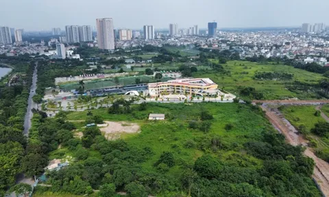 Chuyển đất vườn sang đất ở đóng thuế tiền tỷ: Đề xuất giảm mức thu
