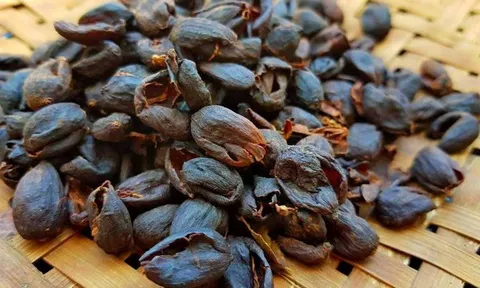 Loại vỏ quả người Việt từng vứt bỏ nay được săn lùng: Chế biến thành "đặc sản thế giới" giá tiền triệu/kg