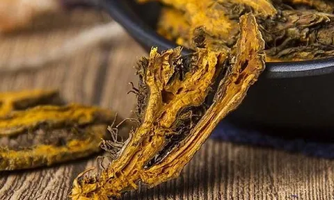 Việt Nam sở hữu một “báu vật” quý hiếm, được đưa vào Sách Đỏ Thế giới: Hoá ra có vô vàn lợi ích