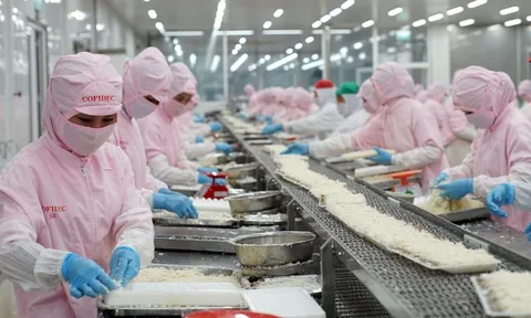 COFIDEC xanh hóa sản xuất, vươn tầm thủy sản Việt