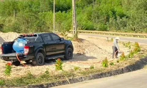 Xúc động chuyện chồng trồng 1 km phượng vĩ, 1.000 cây hoa hồng để tưởng nhớ vợ