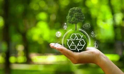 Bảo vệ môi trường, thay đổi từ những thói quen nhỏ