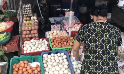 Đi chợ nên mua trứng vỏ trơn hay vỏ nhám? Đây là lời khuyên của chuyên gia