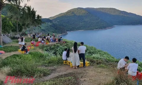 Một resort trên bán đảo Sơn Trà bị phạt vì vi phạm về môi trường