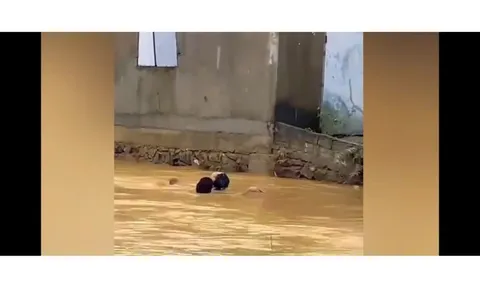 Clip: Nín thở trước hình ảnh người đàn ông lao ra cứu em học sinh lớp 7 giữa dòng nước xiết