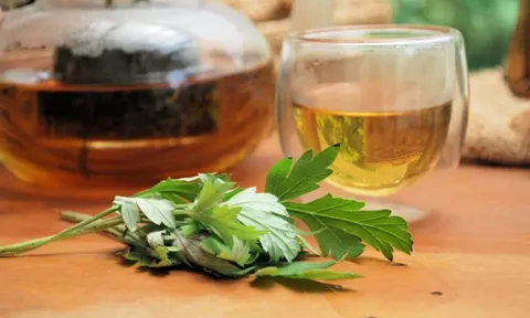 Nhật Bản đánh giá loại lá này tốt ngang "thuốc bổ" giúp sống thọ 100 tuổi: Chợ Việt bán nhiều, giá cực rẻ