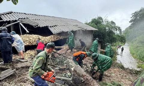 Chỉ đạo của Bộ Chính trị về khắc phục hậu quả do bão số 10 gây ra