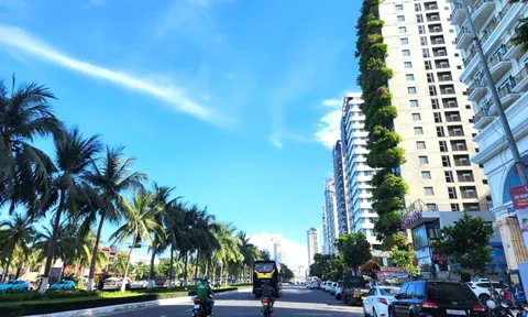 Đà Nẵng: "Đi từng nhà, rà từng thửa" làm sạch cơ sở dữ liệu đất đai trong 90 ngày