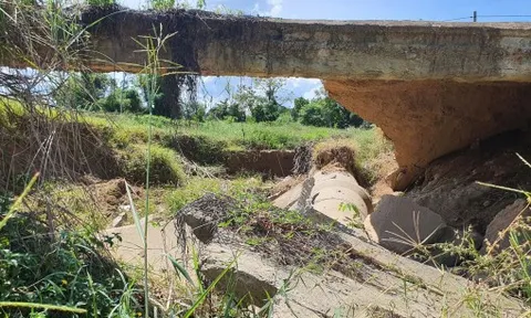 Sạt lở ở nhiều đoạn kè sông Vu Gia và Quảng Huế, Đà Nẵng công bố tình huống khẩn cấp 