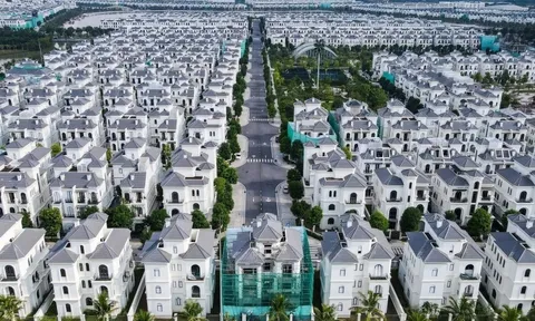 Công ty nắm 44.000 tỷ cổ phiếu Vingroup đổi tên