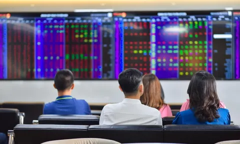 Thị trường chứng khoán phản ứng thế nào sau khi Việt Nam nâng hạng?
