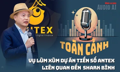 Cú sập của tiền số AntEx liên quan Shark Bình: Lý do tài sản bốc hơi 99%