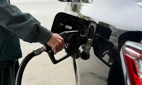 Giá xăng dầu đồng loạt giảm mạnh