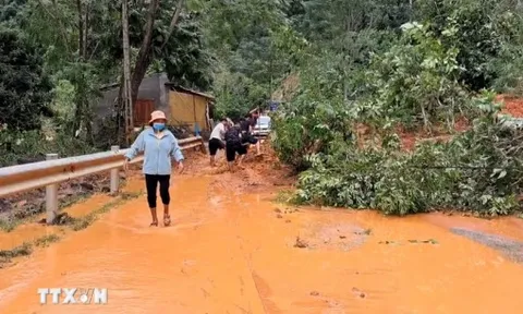 Hạ tầng giao thông đường bộ thiệt hại gần 1.000 tỷ đồng do bão số 10