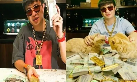 Vụ án Mr Pips: Thu giữ 2,3 triệu USD, 890 miếng vàng SJC, 246 kg vàng