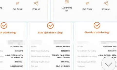 Tham gia nhóm pickleball online, người phụ nữ bị lừa hơn 600 triệu đồng