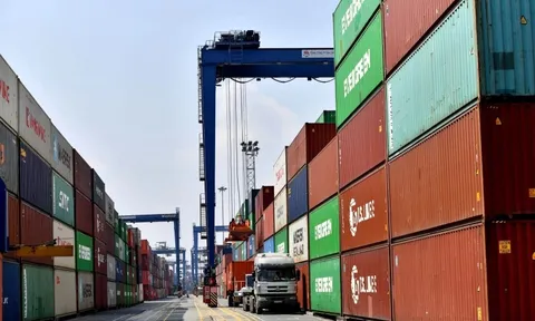 Ngành logistics tìm lời giải cho bài toán 'xanh hóa'