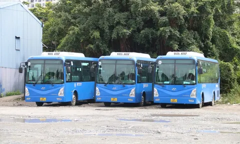 TP HCM sắp có tuyến xe buýt mới đến Đại học Quốc gia