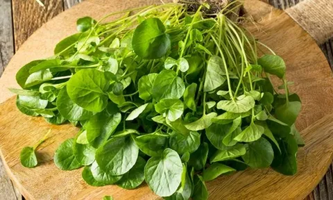 Việt Nam sở hữu loại rau "chống ung thư tốt nhất thế giới", tốt cho sức khỏe tim mạch và xương khớp