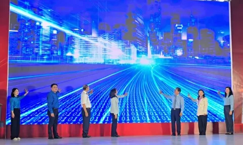TPHCM phát động phong trào Bình dân học vụ số