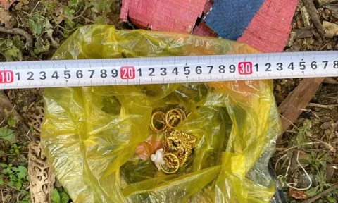 ‘Nữ quái’ ở Đắk Lắk trộm 23,5 chỉ vàng 9999 của ân nhân