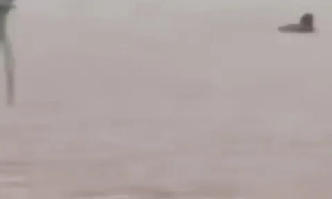 Bám vào bụi cây, bé trai 8 tuổi được cứu sống khỏi dòng nước lũ: Đoạn clip "nghẹt thở"