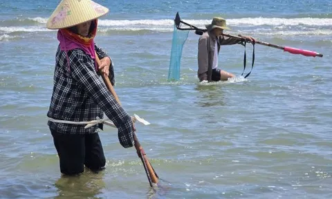 Phụ nữ làng biển dầm mình mưu sinh bên chân sóng