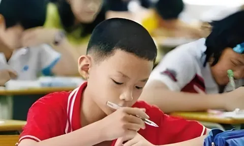Trẻ có IQ vượt trội thường bộc lộ 4 đặc điểm sau ngay từ những năm đầu tiểu học!