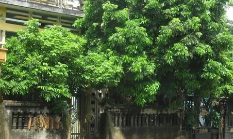 3 chi tiết trong nhà tưởng vô hại nhưng khiến tài vận cứ trôi đi