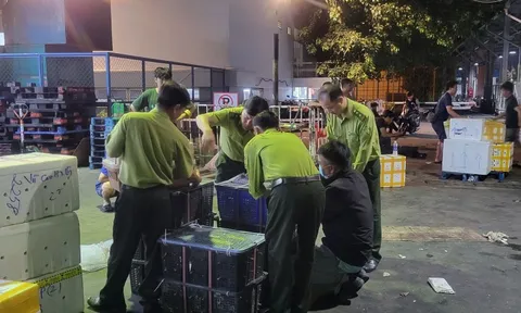 “Kho chim” bí ẩn gần sân bay: Phát hiện 500 con cu ngói không giấy tờ