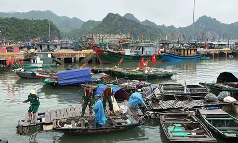 Kích hoạt biện pháp ứng phó với bão số 12
