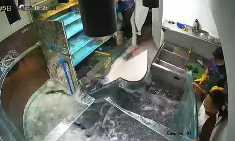 Khoảnh khắc kinh hoàng bể cá khổng lồ trong nhà hàng bất ngờ vỡ vụn