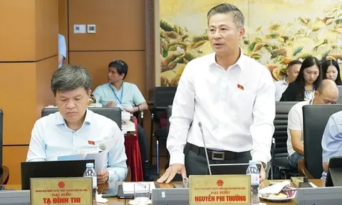 Đại biểu Nguyễn Phi Thường: Hà Nội có chương trình khẩn cấp chống ngập úng, ô nhiễm
