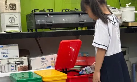 Từ căn bếp nhà tôi, “mầm xanh” đã nẩy