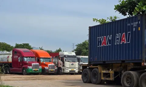 Bãi xe container cày xới, đe dọa khu dân cư