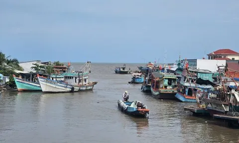 An Giang yêu cầu người đứng đầu sở, ngành không được lơ là với bão số 12